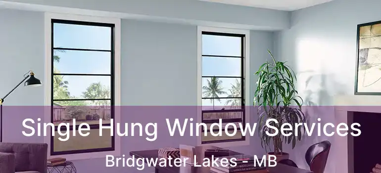 Single Hung Window Services Bridgwater Lakes - MB