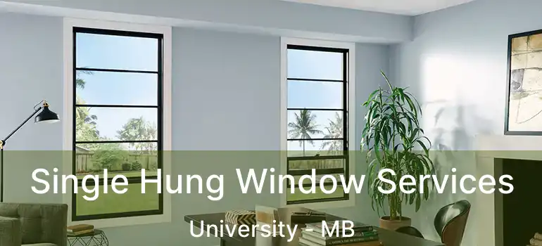 Single Hung Window Services University - MB