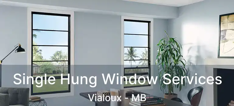 Single Hung Window Services Vialoux - MB