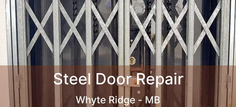  Steel Door Repair Whyte Ridge - MB