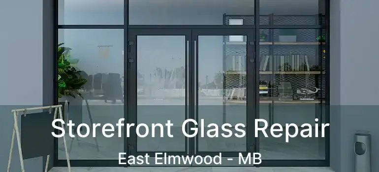 Storefront Glass Repair East Elmwood - MB