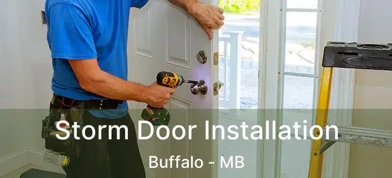 Storm Door Installation Buffalo - MB