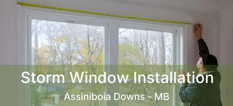  Storm Window Installation Assiniboia Downs - MB