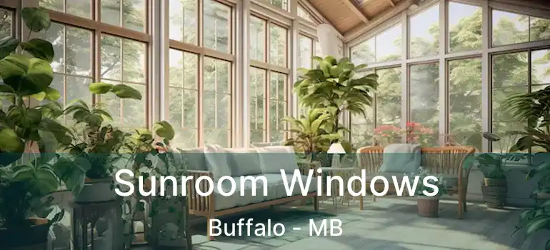  Sunroom Windows Buffalo - MB