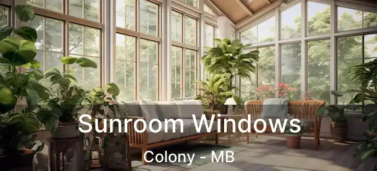  Sunroom Windows Colony - MB
