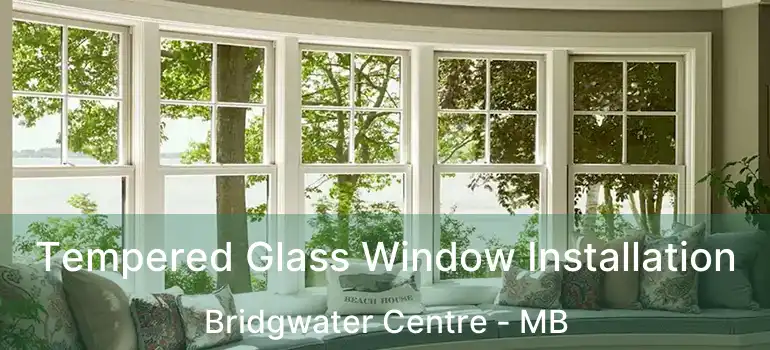 Tempered Glass Window Installation Bridgwater Centre - MB