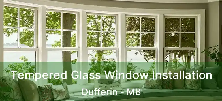  Tempered Glass Window Installation Dufferin - MB