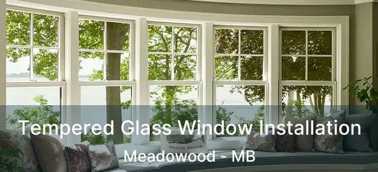 Tempered Glass Window Installation Meadowood - MB