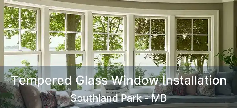 Tempered Glass Window Installation Southland Park - MB