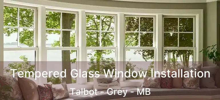  Tempered Glass Window Installation Talbot - Grey - MB