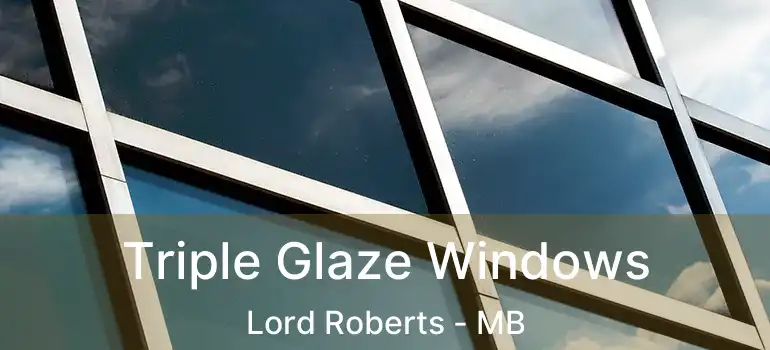 Triple Glaze Windows Lord Roberts - MB