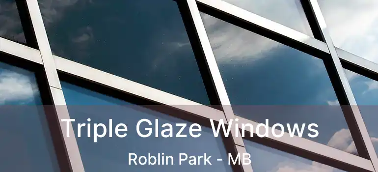 Triple Glaze Windows Roblin Park - MB