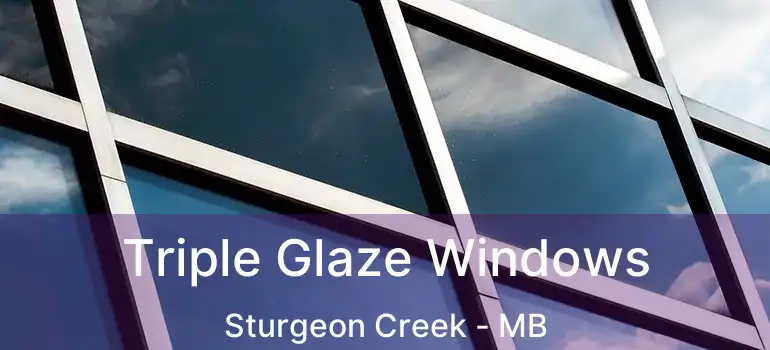Triple Glaze Windows Sturgeon Creek - MB