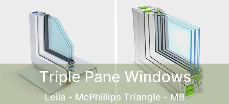 Triple Pane Windows Leila - McPhillips Triangle - MB