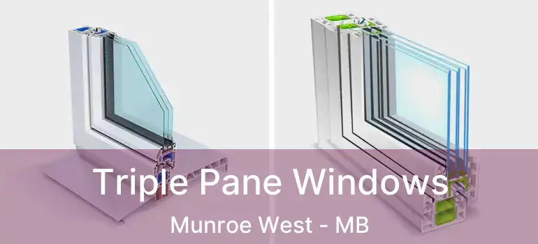 Triple Pane Windows Munroe West - MB