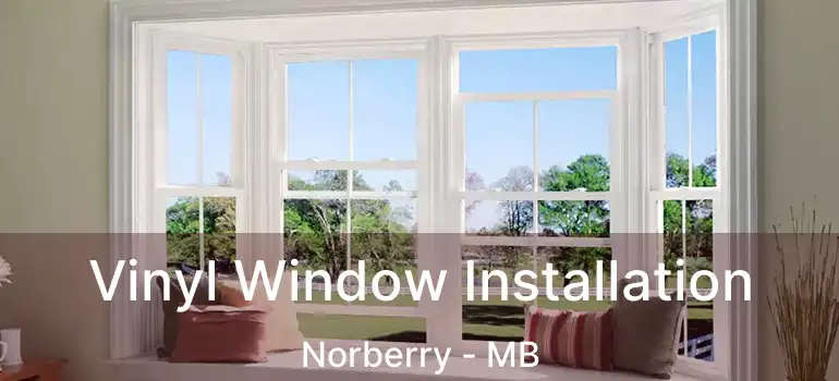 Vinyl Window Installation Norberry - MB