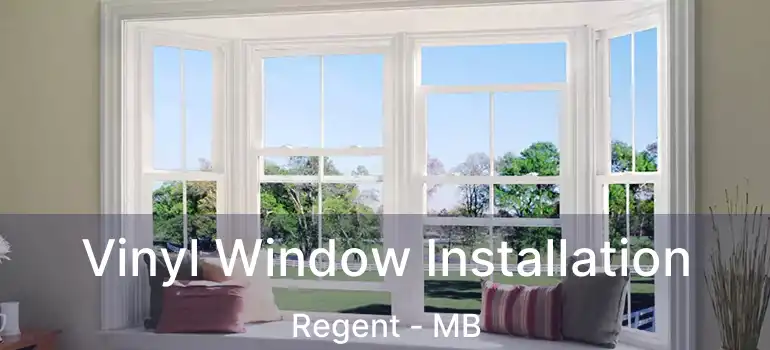  Vinyl Window Installation Regent - MB
