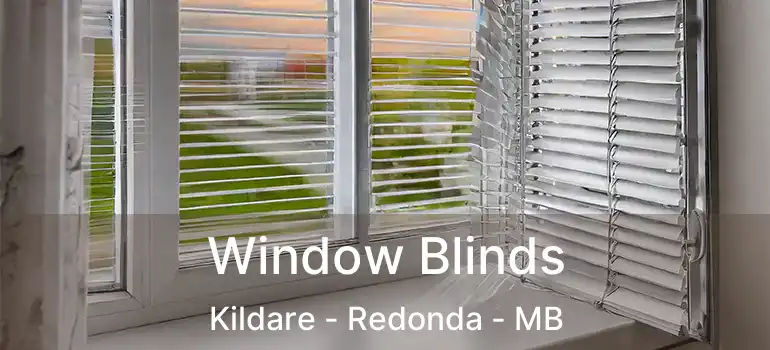 Window Blinds Kildare - Redonda - MB
