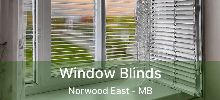 Window Blinds Norwood East - MB