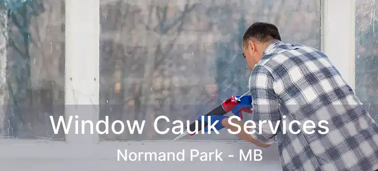 Window Caulk Services Normand Park - MB