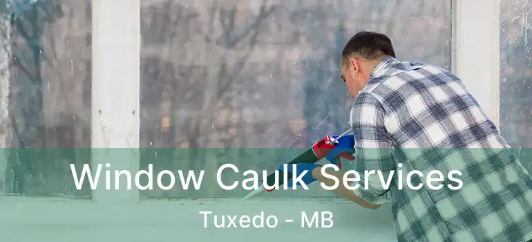  Window Caulk Services Tuxedo - MB