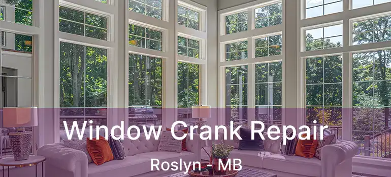  Window Crank Repair Roslyn - MB