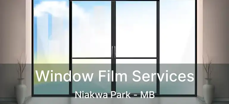 Window Film Services Niakwa Park - MB