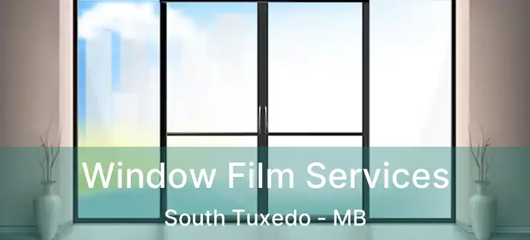  Window Film Services South Tuxedo - MB