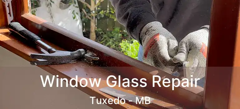 Window Glass Repair Tuxedo - MB