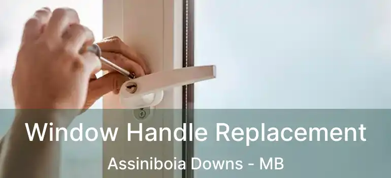 Window Handle Replacement Assiniboia Downs - MB
