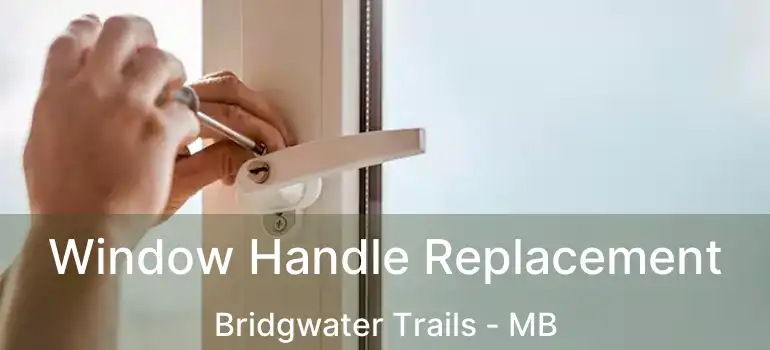  Window Handle Replacement Bridgwater Trails - MB