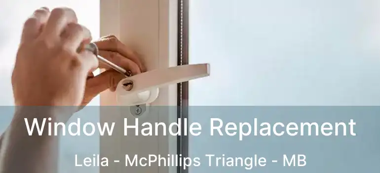 Window Handle Replacement Leila - McPhillips Triangle - MB