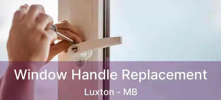 Window Handle Replacement Luxton - MB