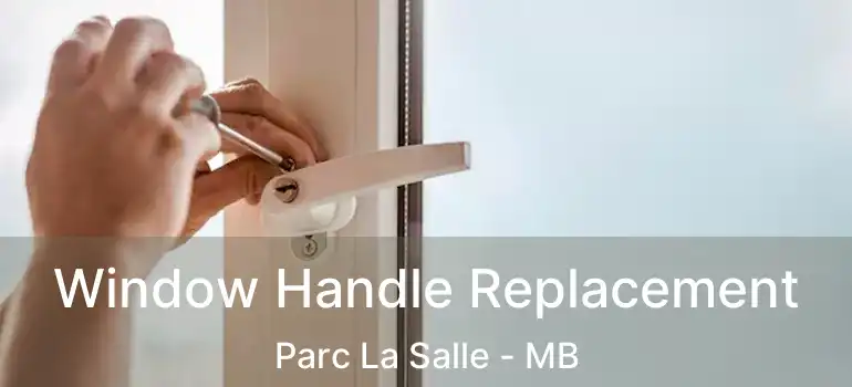 Window Handle Replacement Parc La Salle - MB