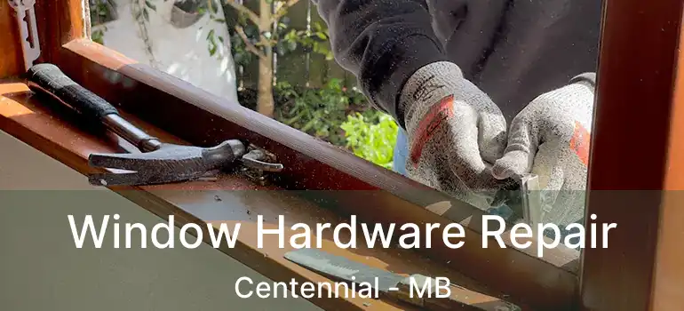 Window Hardware Repair Centennial - MB