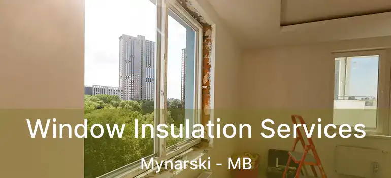  Window Insulation Services Mynarski - MB