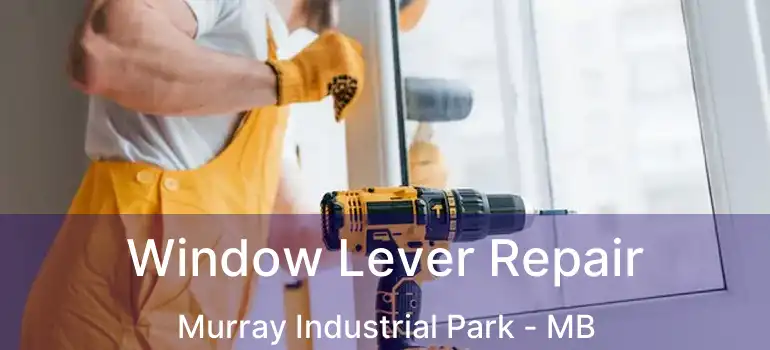  Window Lever Repair Murray Industrial Park - MB