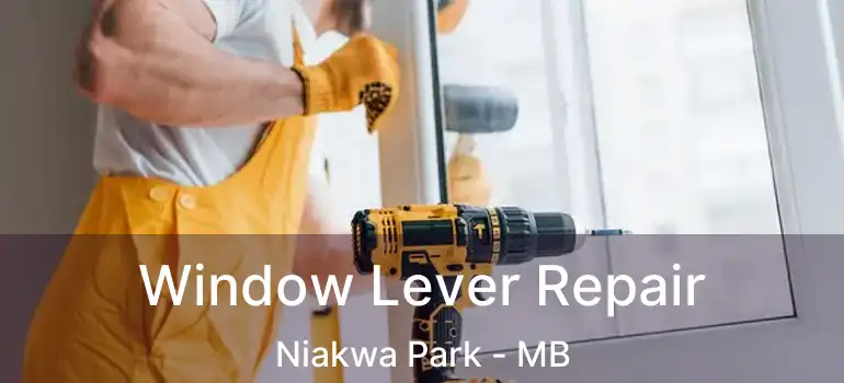 Window Lever Repair Niakwa Park - MB