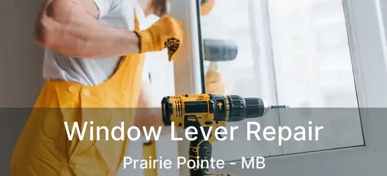  Window Lever Repair Prairie Pointe - MB