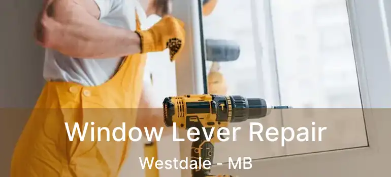 Window Lever Repair Westdale - MB