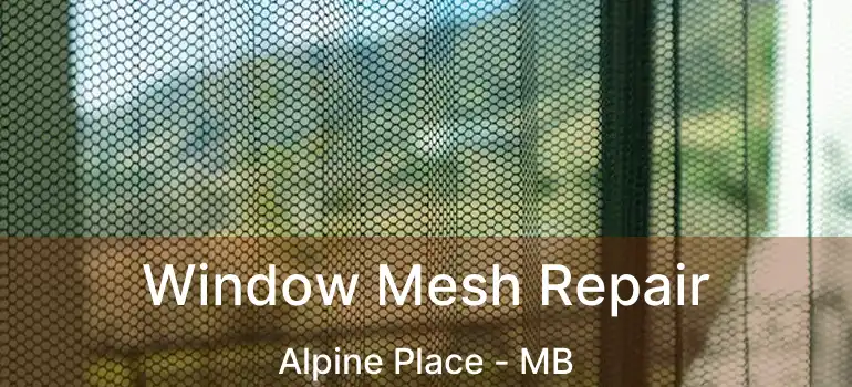 Window Mesh Repair Alpine Place - MB