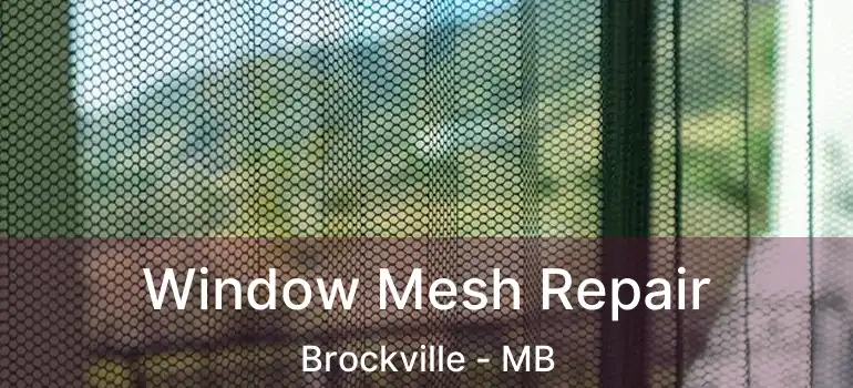 Window Mesh Repair Brockville - MB