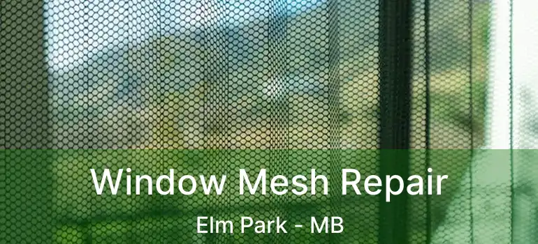 Window Mesh Repair Elm Park - MB