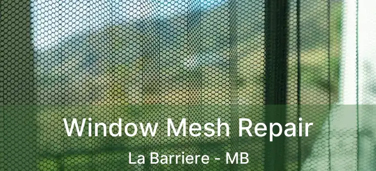 Window Mesh Repair La Barriere - MB