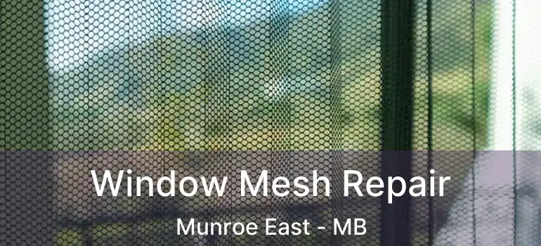 Window Mesh Repair Munroe East - MB