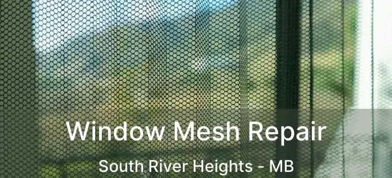 Window Mesh Repair South River Heights - MB