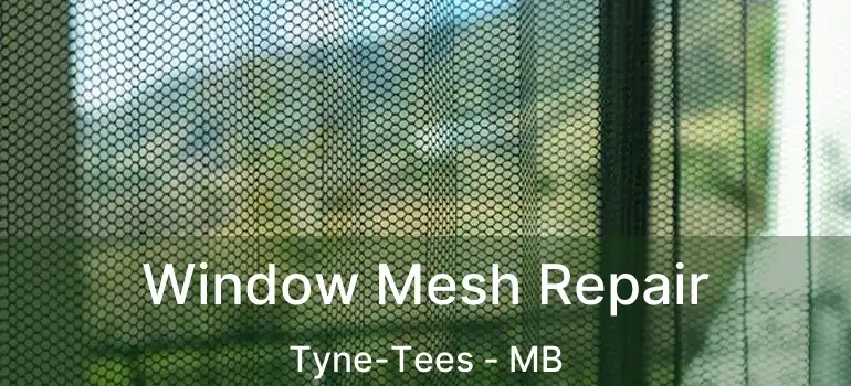  Window Mesh Repair Tyne-Tees - MB