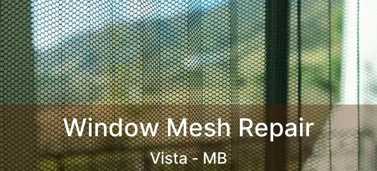 Window Mesh Repair Vista - MB