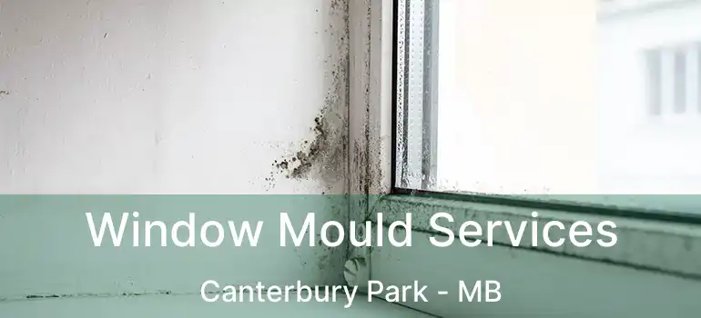 Window Mould Services Canterbury Park - MB