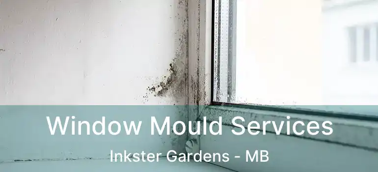 Window Mould Services Inkster Gardens - MB